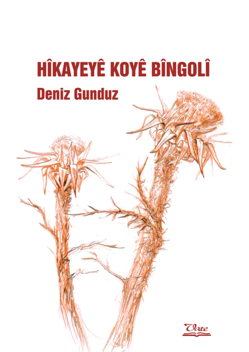 HÎKAYEYÊ KOYÊ BÎNGOLÎ